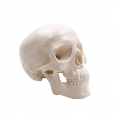 Mini Skull